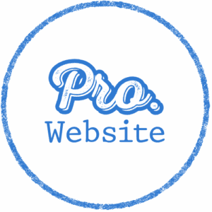 Pro Business Website Package – Full Website Development by Ad Insight